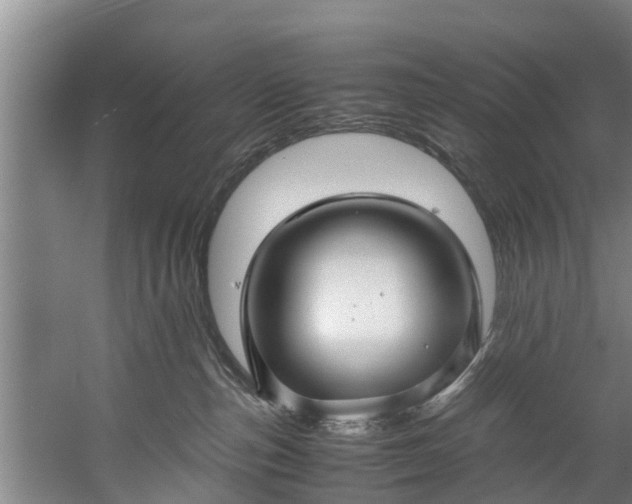 X0000059850187200511041849