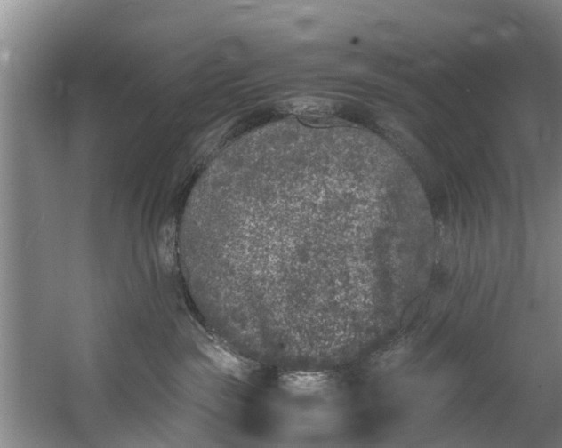 X0000059850189200511041849