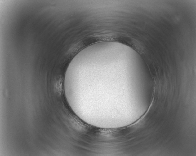 X0000059850190200511041849