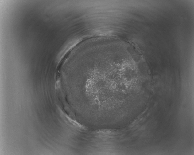 X0000059850194200511041848