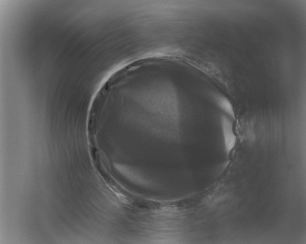 X0000059850196200511041848