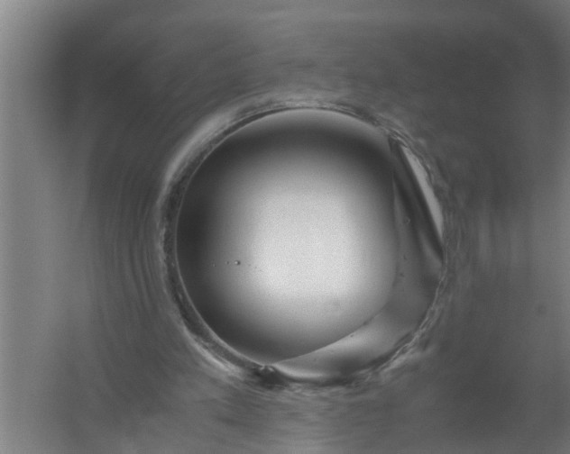 X0000059850197200511041848