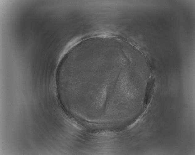 X0000059850198200511041848