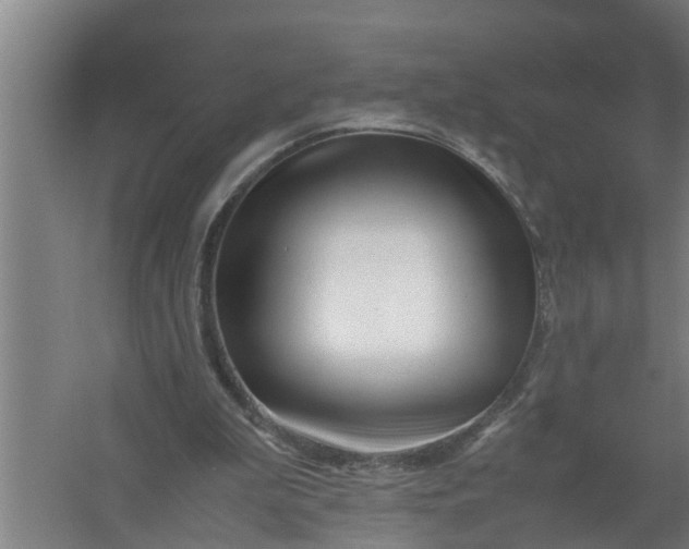 X0000059850199200511041848