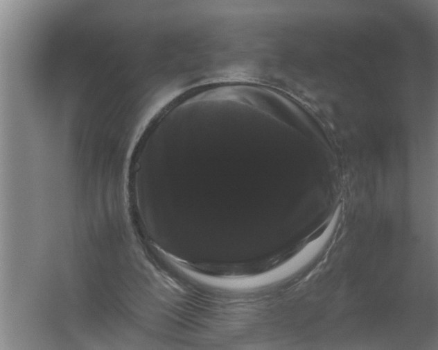 X0000059850200200511041848