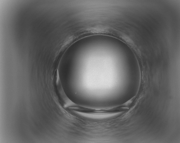 X0000059850201200511041848