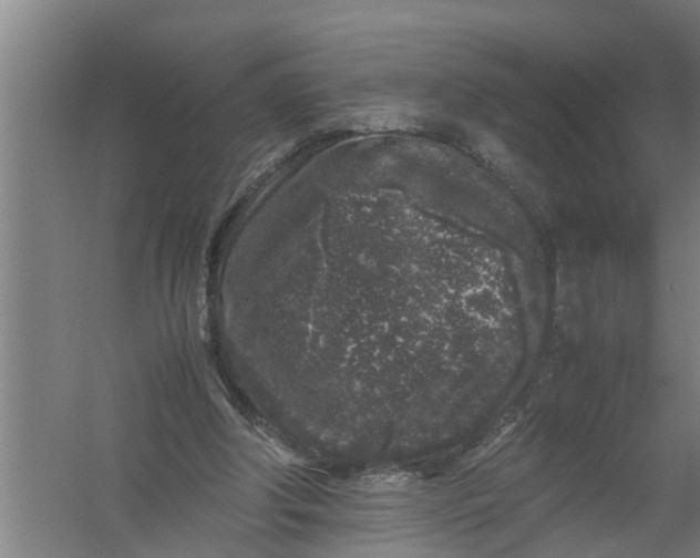 X0000059850202200511041848