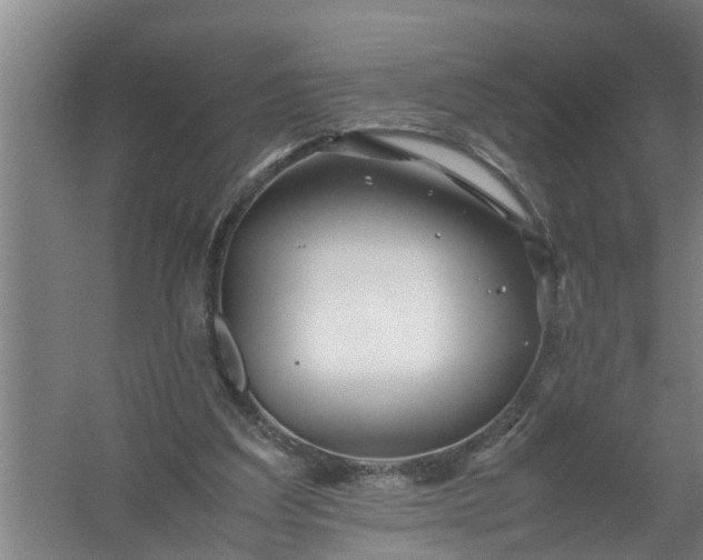 X0000059850203200511041848