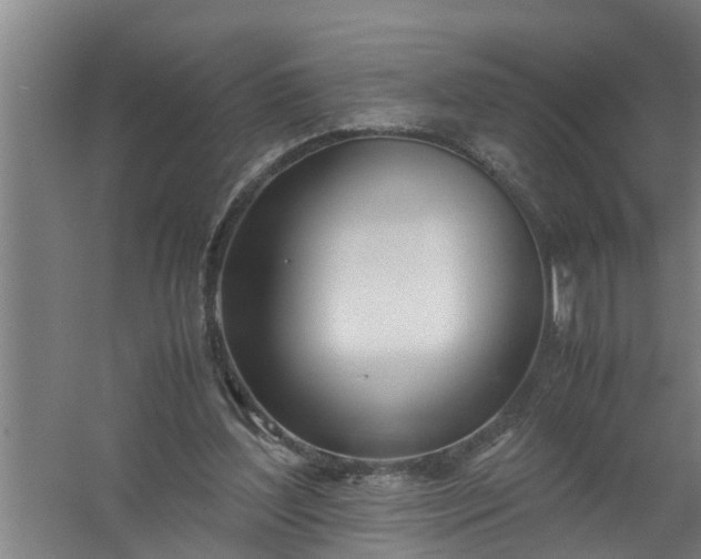 X0000059850204200511041848