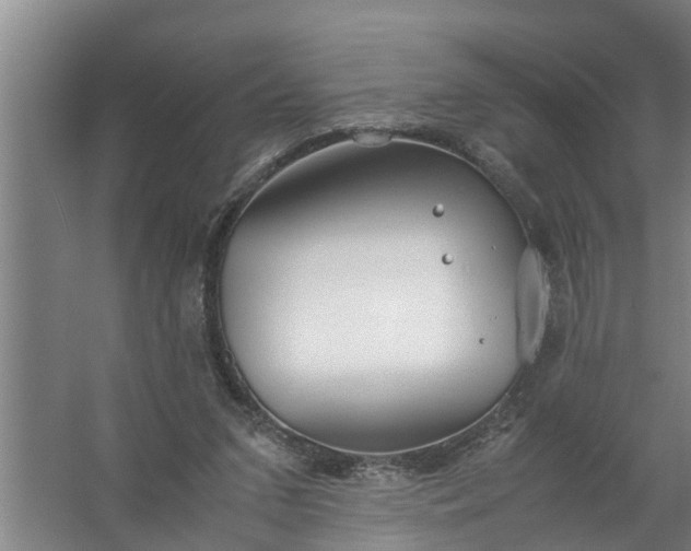 X0000059850207200511041848