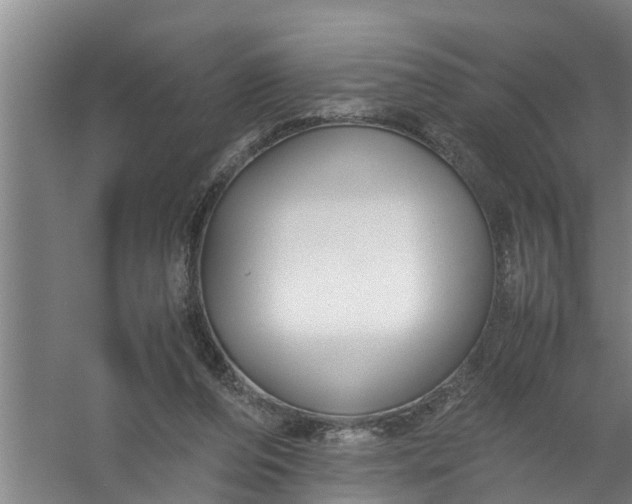 X0000059850208200511041848