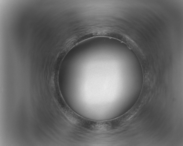 X0000059850209200511041848