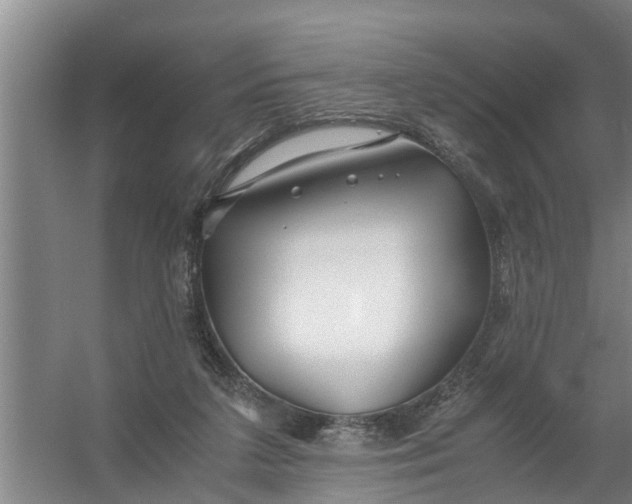 X0000059850211200511041848