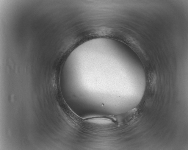 X0000059850212200511041848