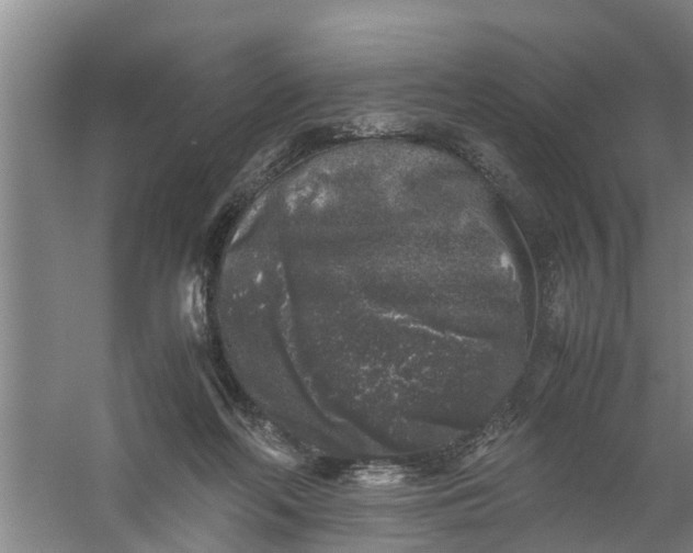 X0000059850214200511041848