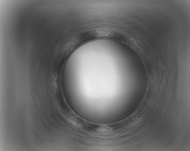 X0000059850215200511041848