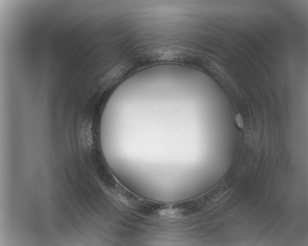 X0000059850216200511041848