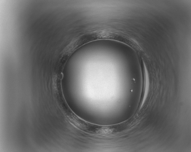 X0000059850217200511041848