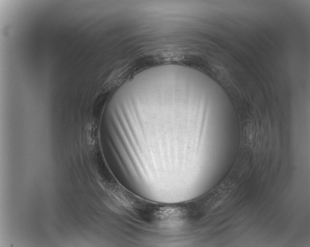 X0000059850218200511041848