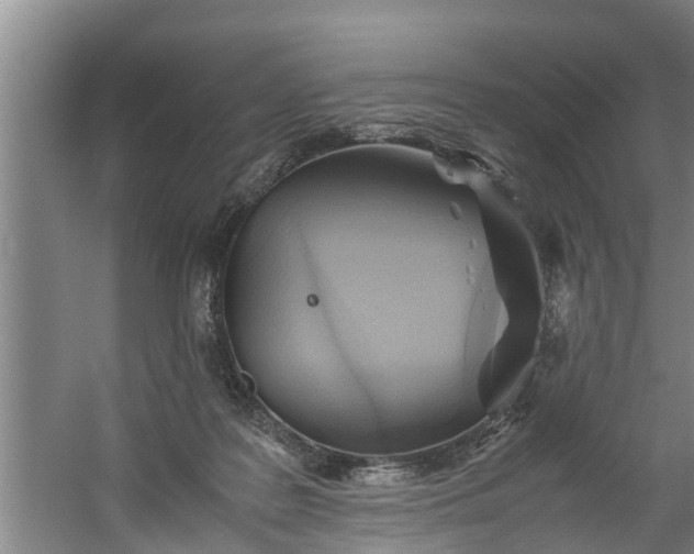 X0000059850219200511041848