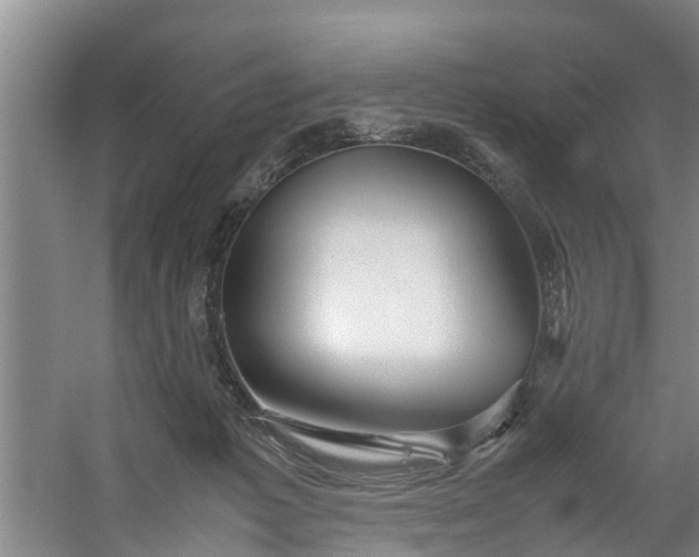 X0000059850221200511041848