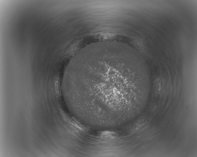 X0000059850222200511041848