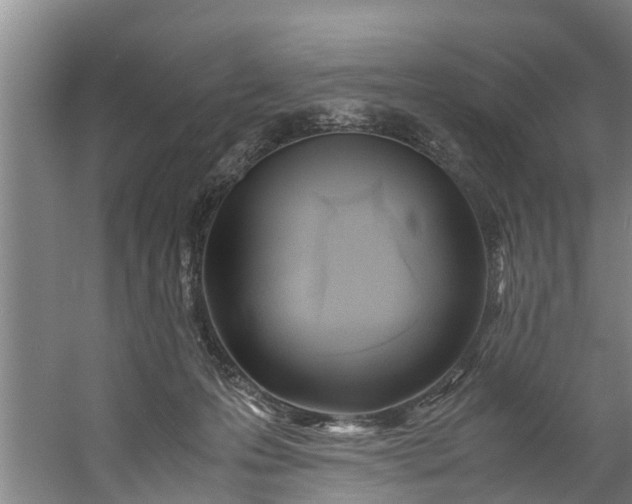 X0000059850223200511041848