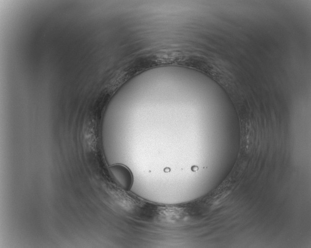 X0000059850226200511041848