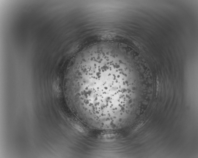 X0000059850228200511041847