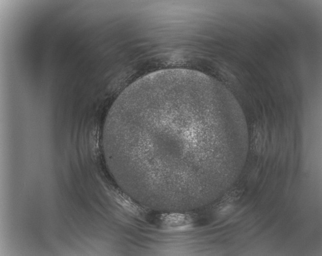 X0000059850230200511041847