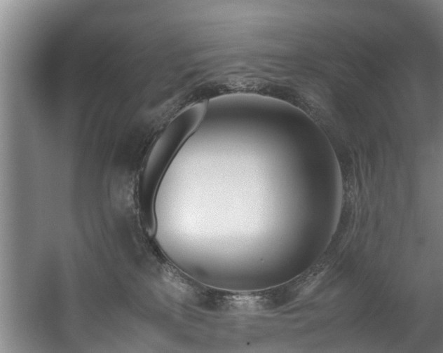 X0000059850233200511041847