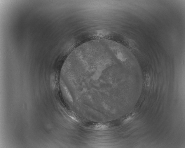 X0000059850236200511041847