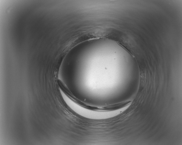 X0000059850237200511041847