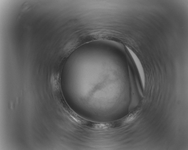 X0000059850239200511041847