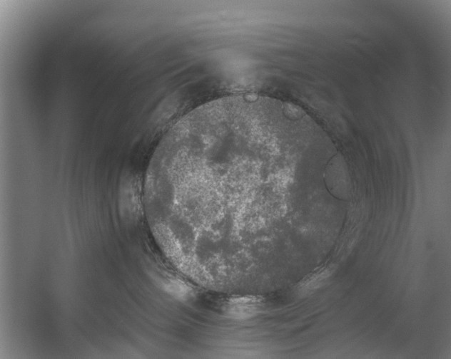 X0000059850240200511041847