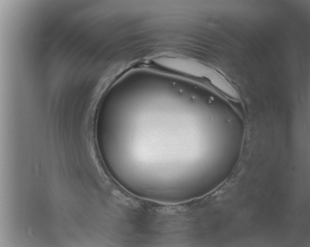 X0000059850241200511041846