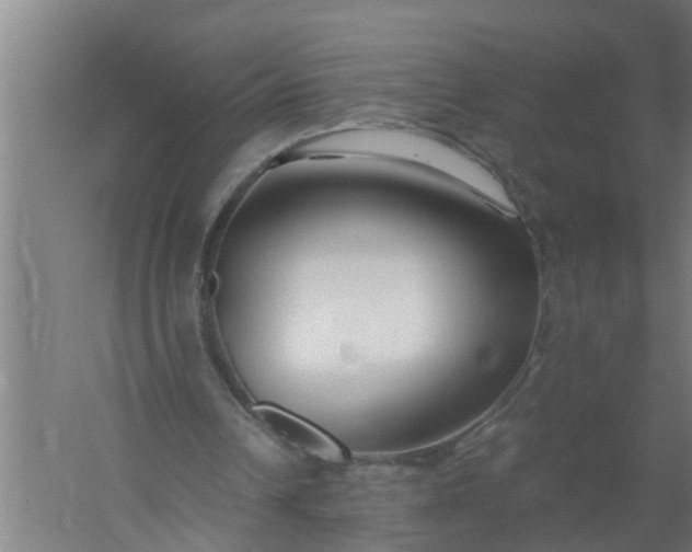 X0000059850242200511041846