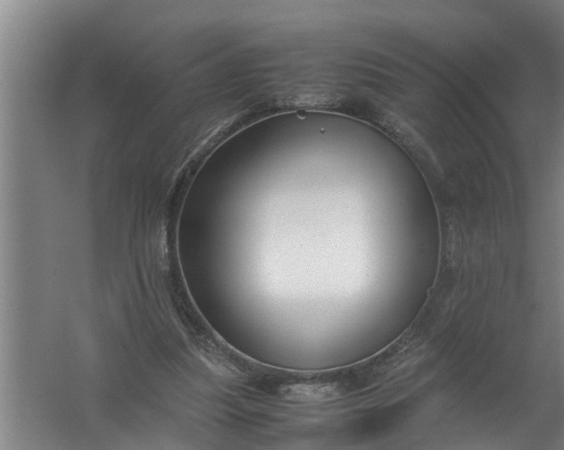 X0000059850251200511041847