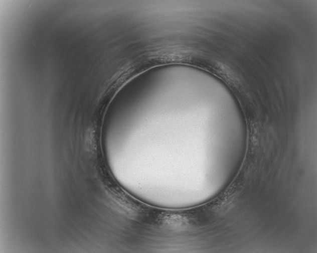 X0000059850258200511041847