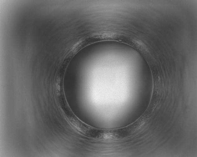 X0000059850264200511041847