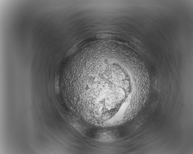 X0000059850267200511041847