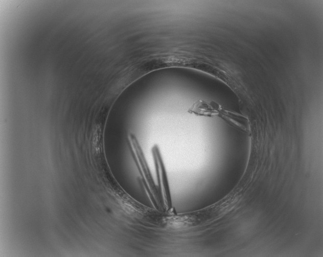 X0000059850273200511041847