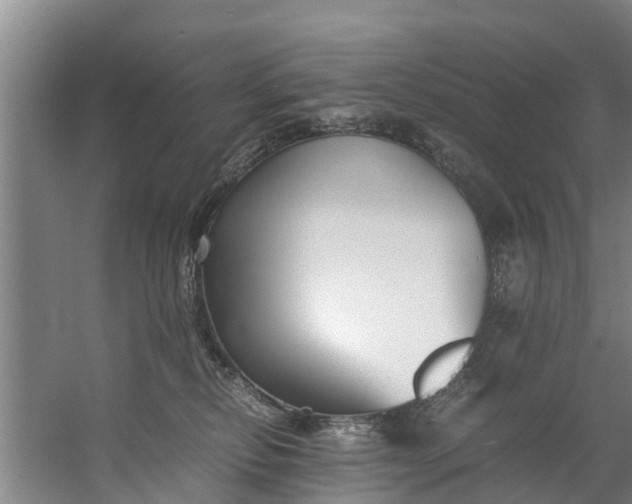 X0000059850278200511041847