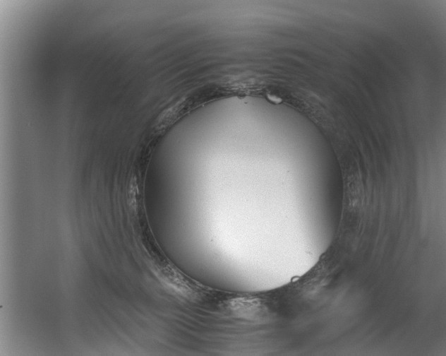 X0000059850279200511041847