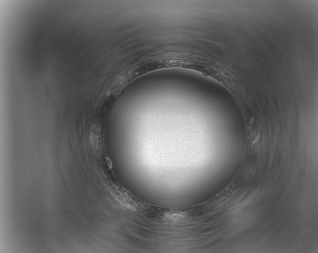 X0000059850283200511041847