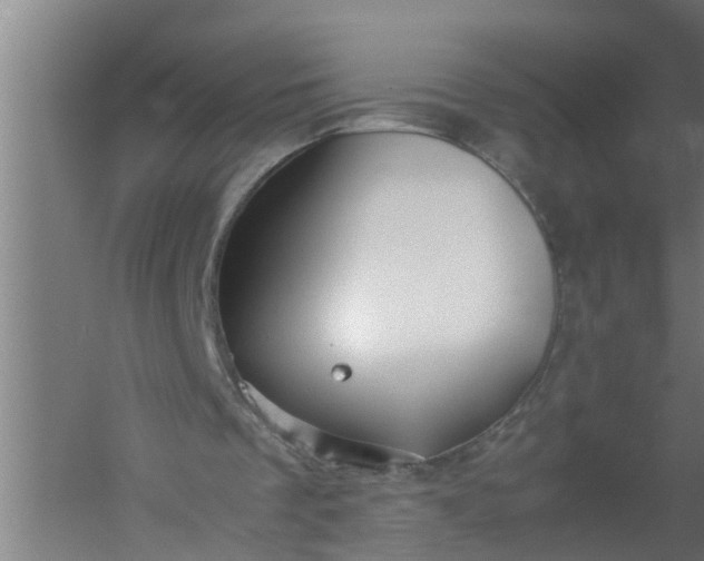 X0000059850289200511041846