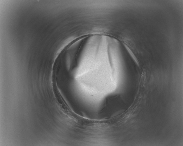 X0000059850292200511041846