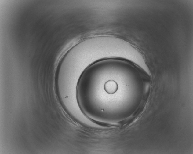 X0000059850293200511041846