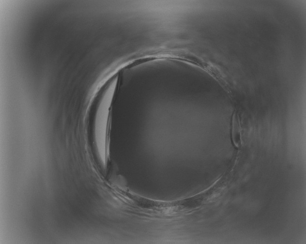 X0000059850295200511041846