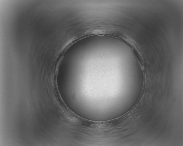 X0000059850297200511041846